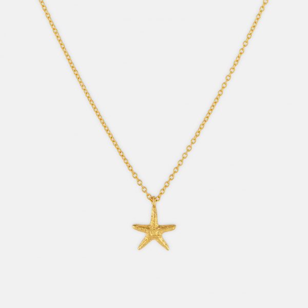 2624 Gold Starfish Necklace Product 1